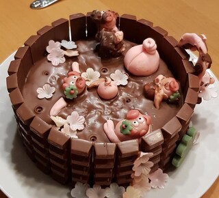 #schweinepopokuchen #schweinchenkuchen #matschkuchen #birthdaycake #pigs #pigcake #muddy #happybirthday #kinderschokolade #chocolate #yummy #foodporn #whatibakedtoday #makingmafia #cakesofinstagram #piggies #selfmade #cute #pigbottom