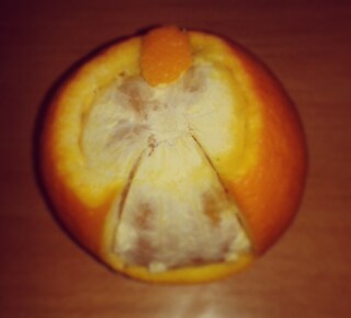 Theres an #angel in #my #orange #healthy #food #fruite #dessert #sweet #sweets #yummy #nature #juicy #love #fun #funny #foodgasm #foodart #foodporn #holyfood #art #style #kitchen #funny #food